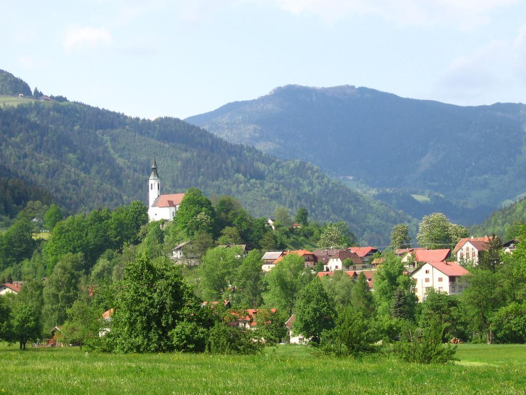Farm Stay Bukovje Ljubno Экстерьер фото